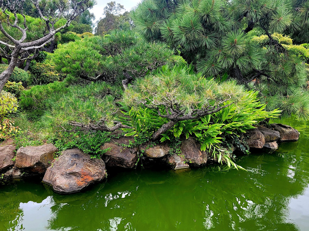Hayward Japanese Gardens-海沃德必去景点