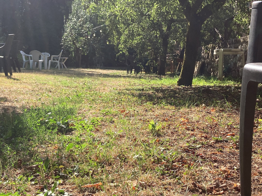 Villa Arboretum主图