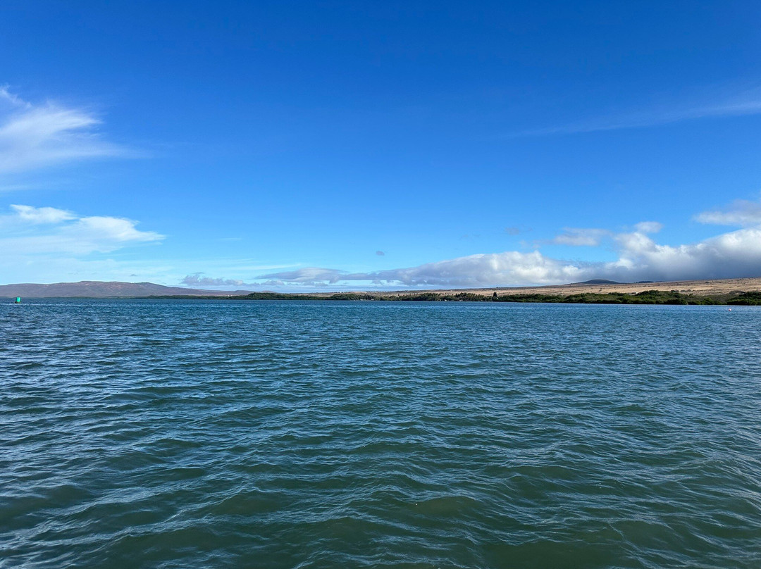 Molokai Harbor-考纳卡卡伊必去景点