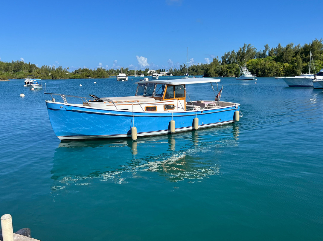 Mona Lisa Cruises-汉密尔顿必去景点