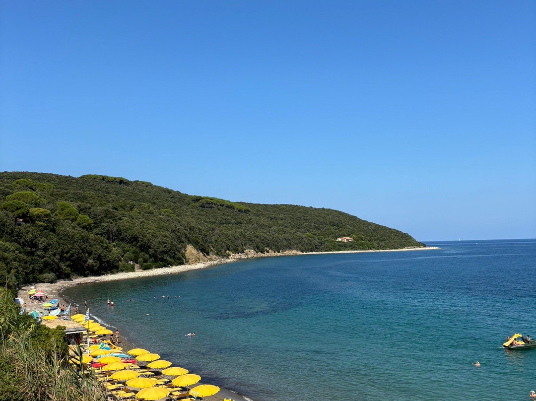 Spiaggia di Frugoso景点图片