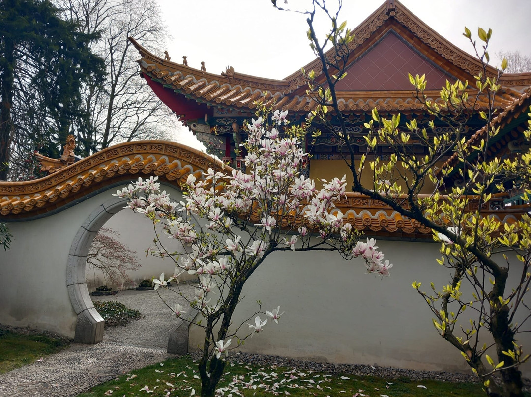Jardin Chino De Zúrich-苏黎世必去景点
