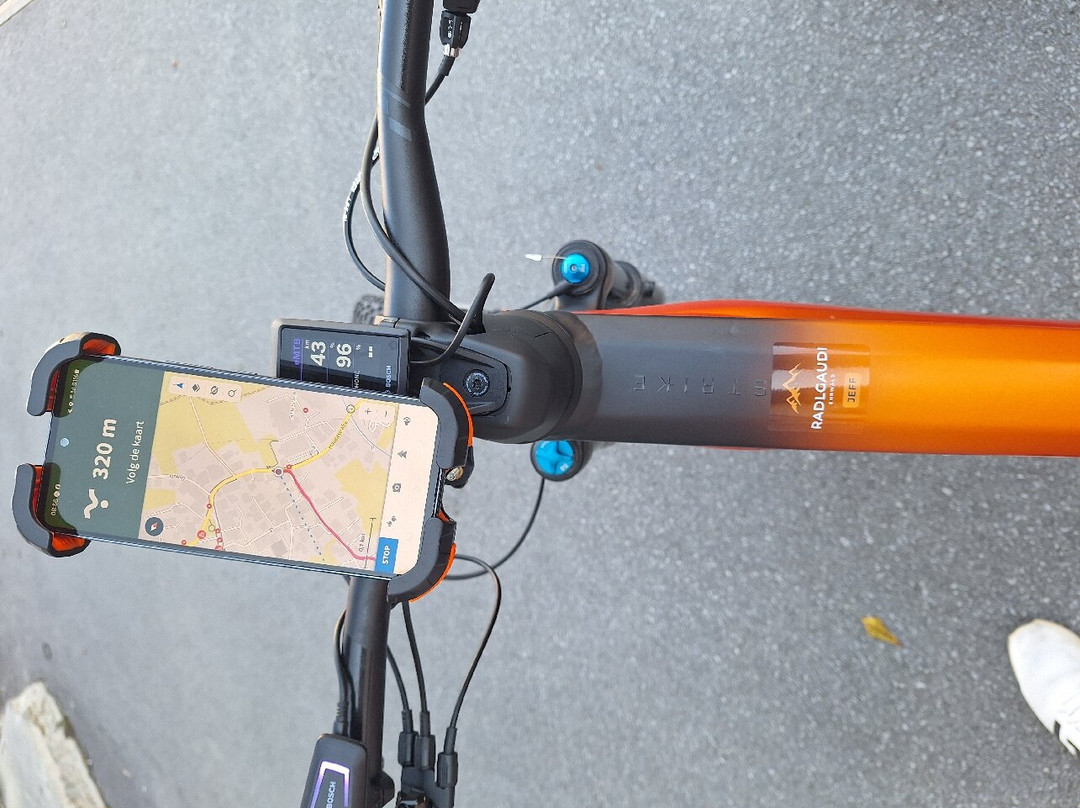 Radlgaudi Ehrwald - E-bike Verleih-埃尔森林市必去景点