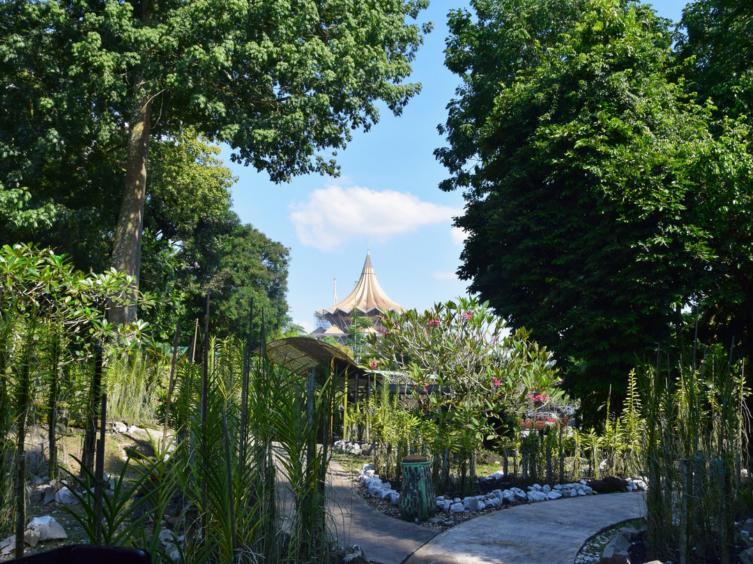 Sarawak Orchid Garden-古晋必去景点