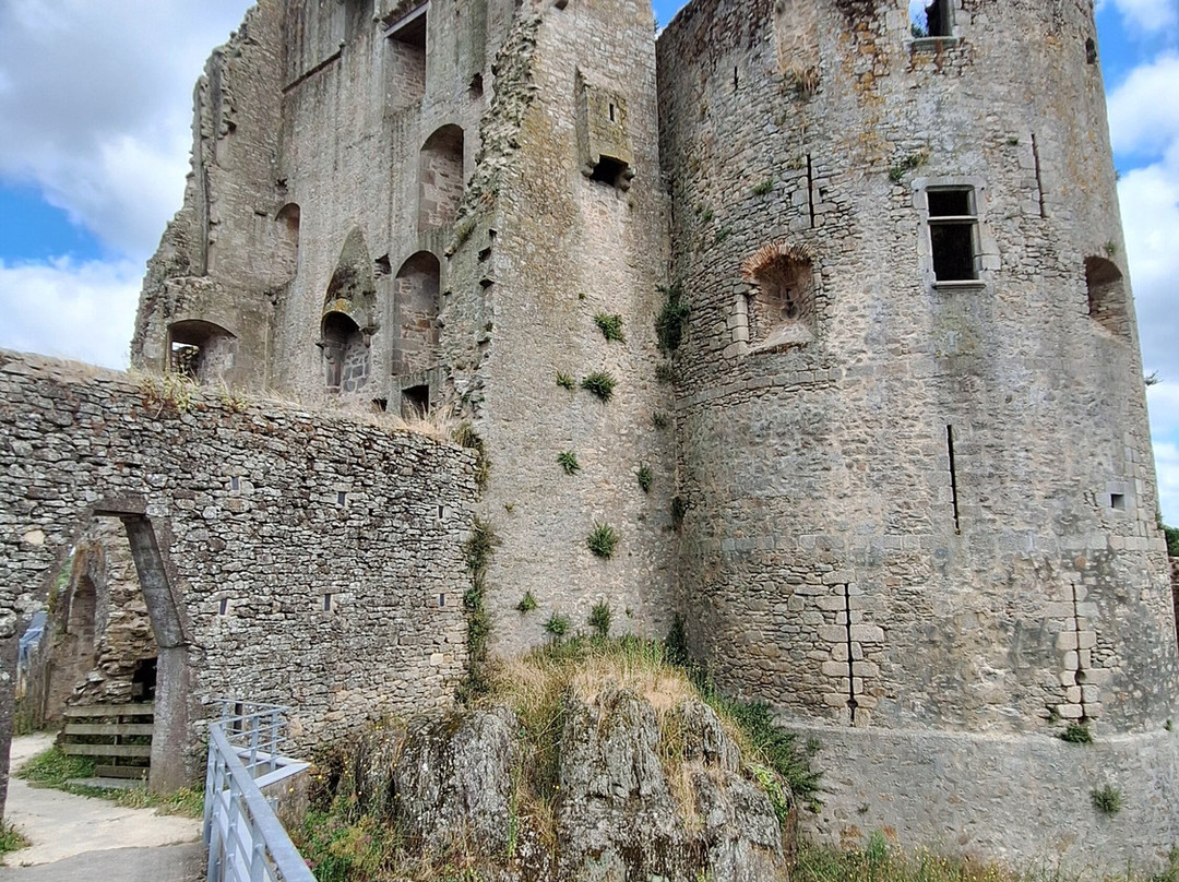 Chateau de Clisson景点图片