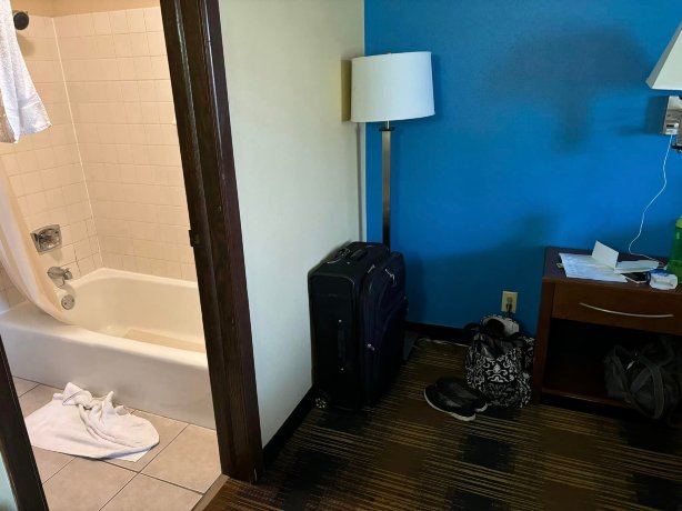 罗切斯特梅奥诊所区速8酒店-客卧