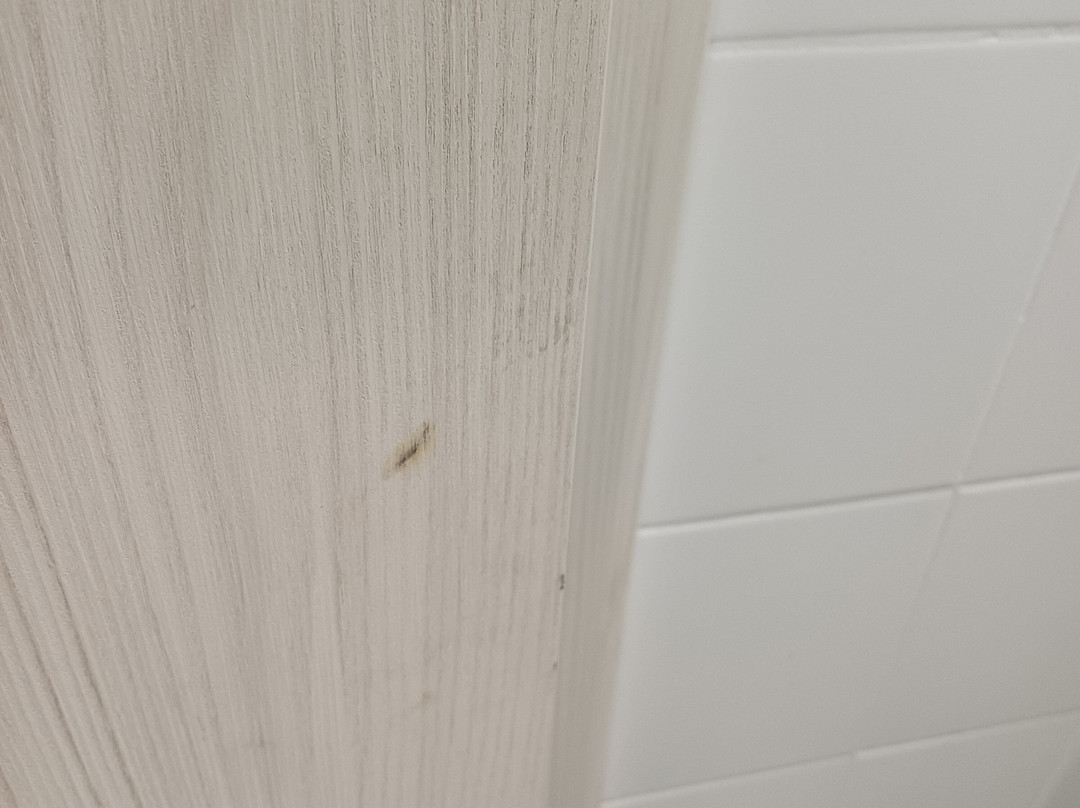 B&B Hotel Alicante主图