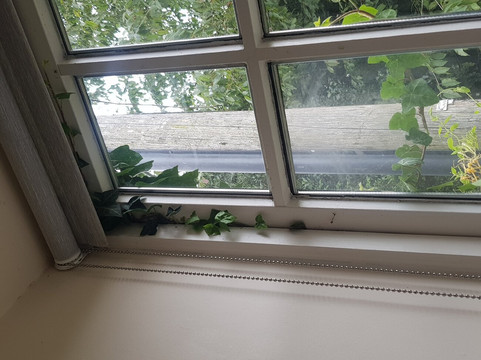 The Garlic Farm Accommodation主图