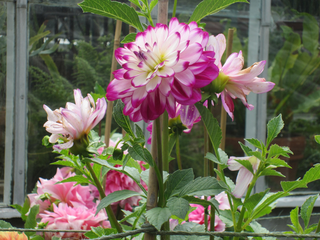 Fuller Gardens-North Hampton必去景点