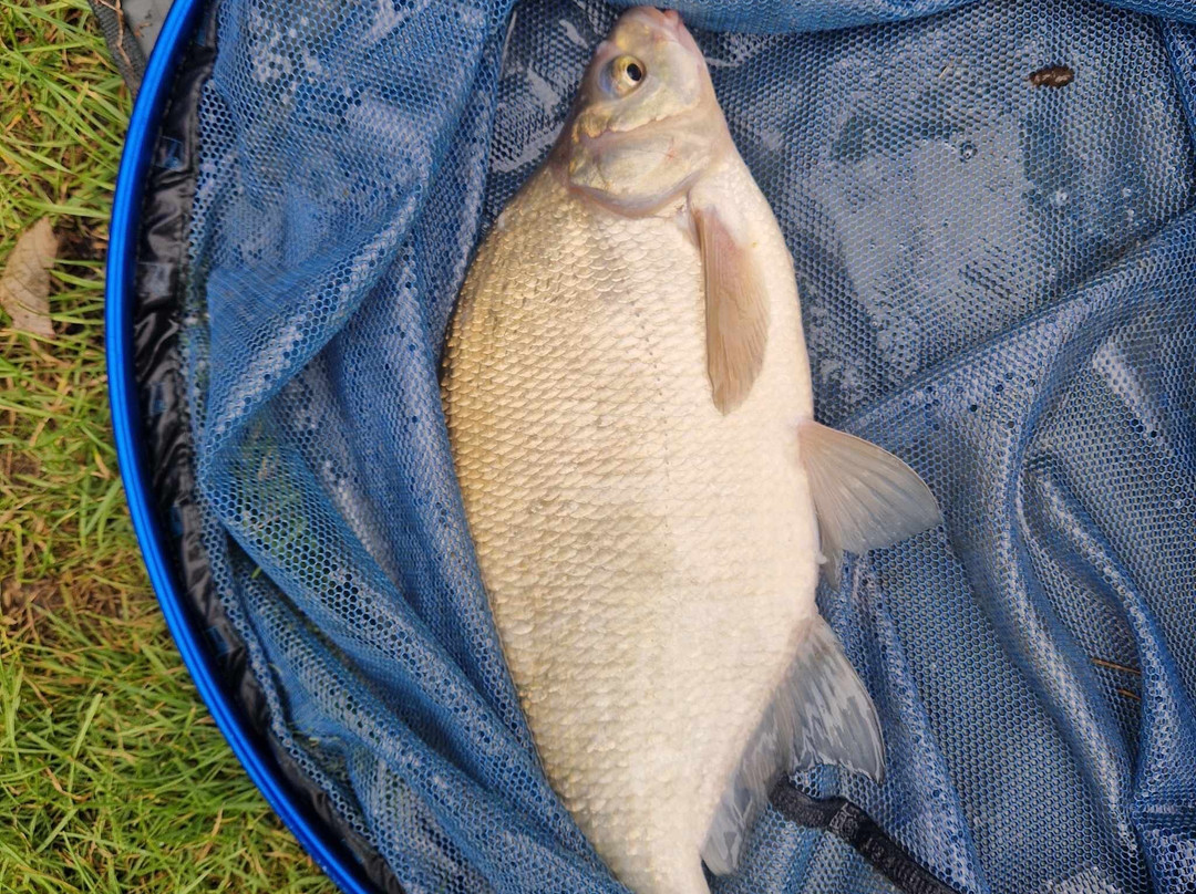 Lloyds Meadow Fishery-切斯特必去景点