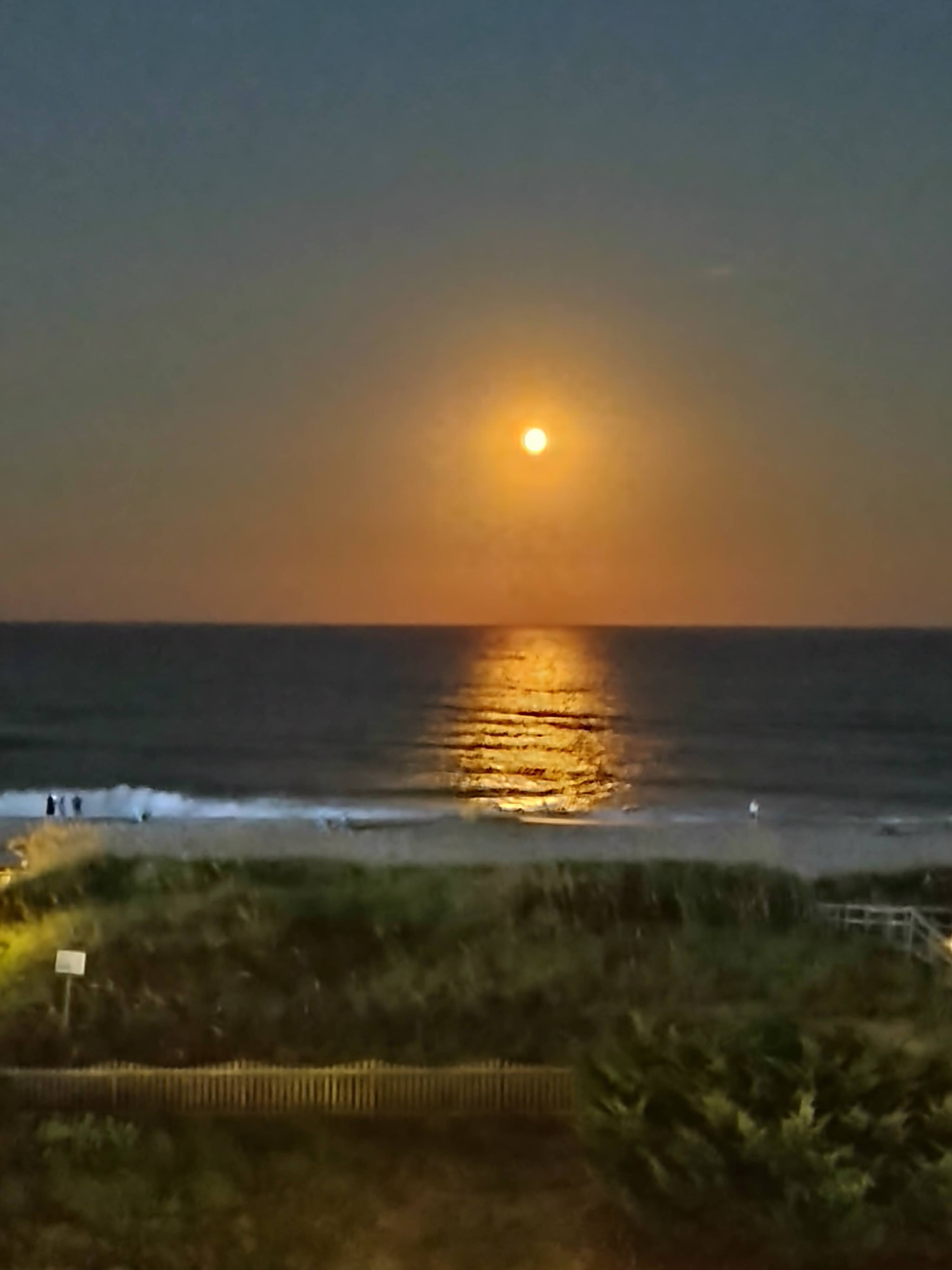 Courtyard Carolina Beach Oceanfront-泳池
