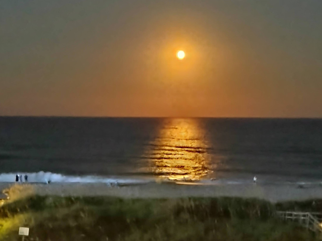 Courtyard by Marriott Carolina Beach Oceanfront主图