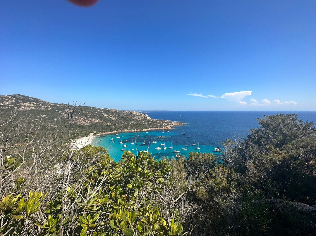 Plage De Roccapina景点图片