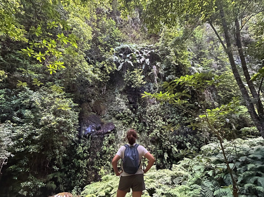 Madeira Orchid Travel-沙尔必去景点