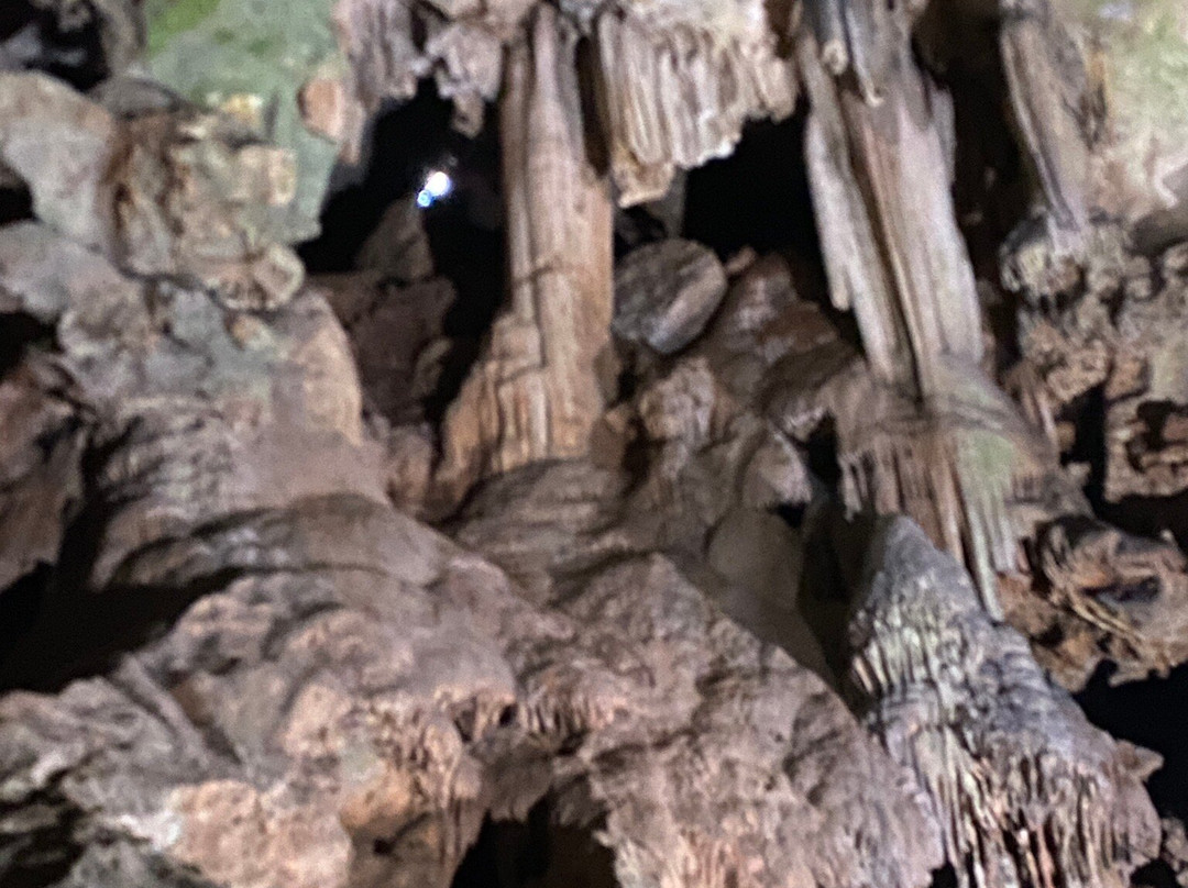 Rolater Park‎-Cave Spring必去景点