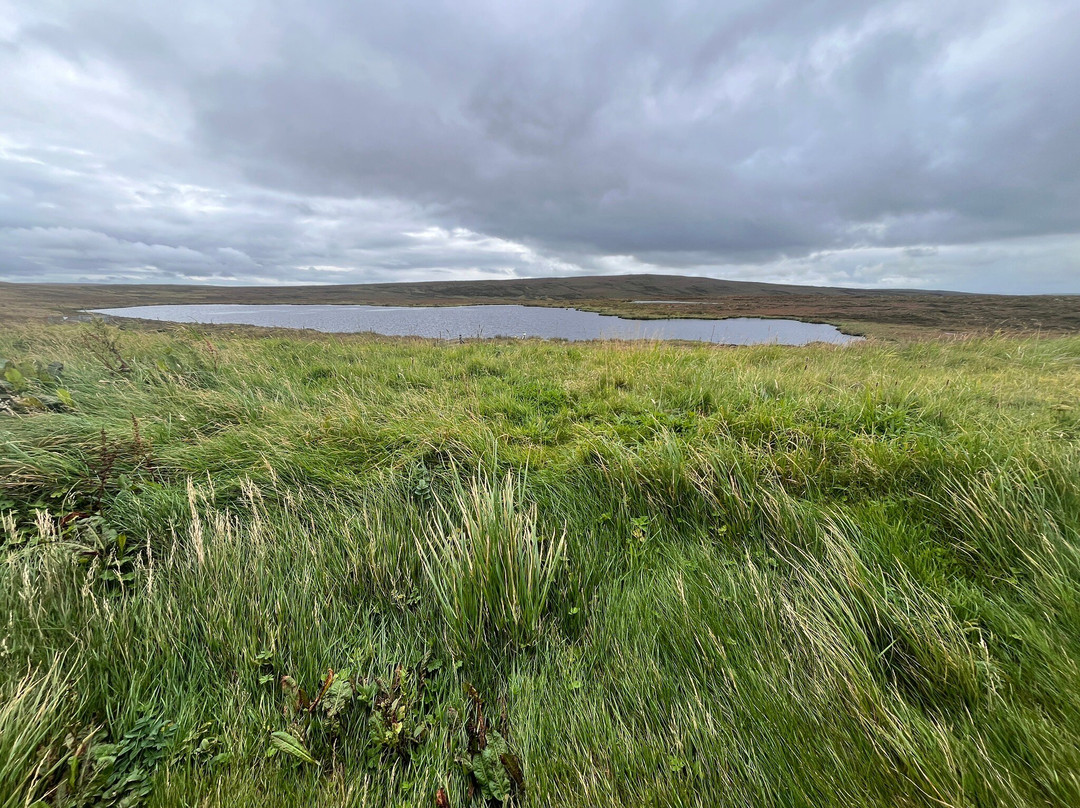 RSPB Birsay Moors-Evie必去景点