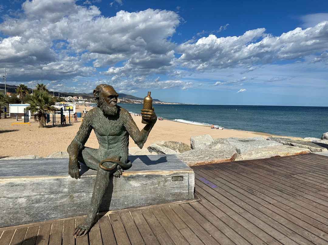 Anís del Mono sculpture景点图片