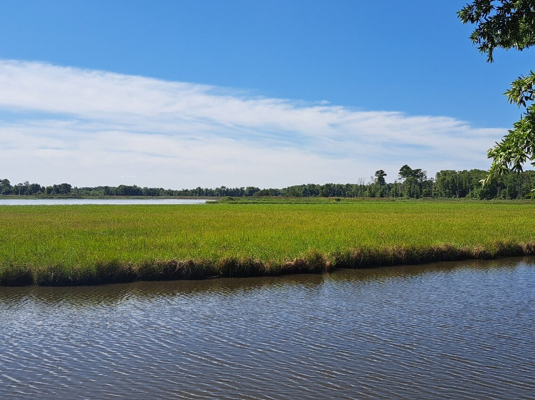 Prime Hook National Wildlife Refuge-Milton必去景点