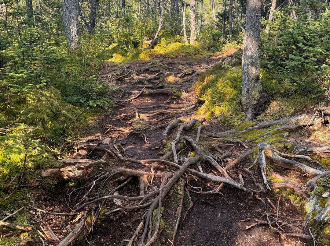 Chutes Manitou-Riviere-au-Tonnerre必去景点