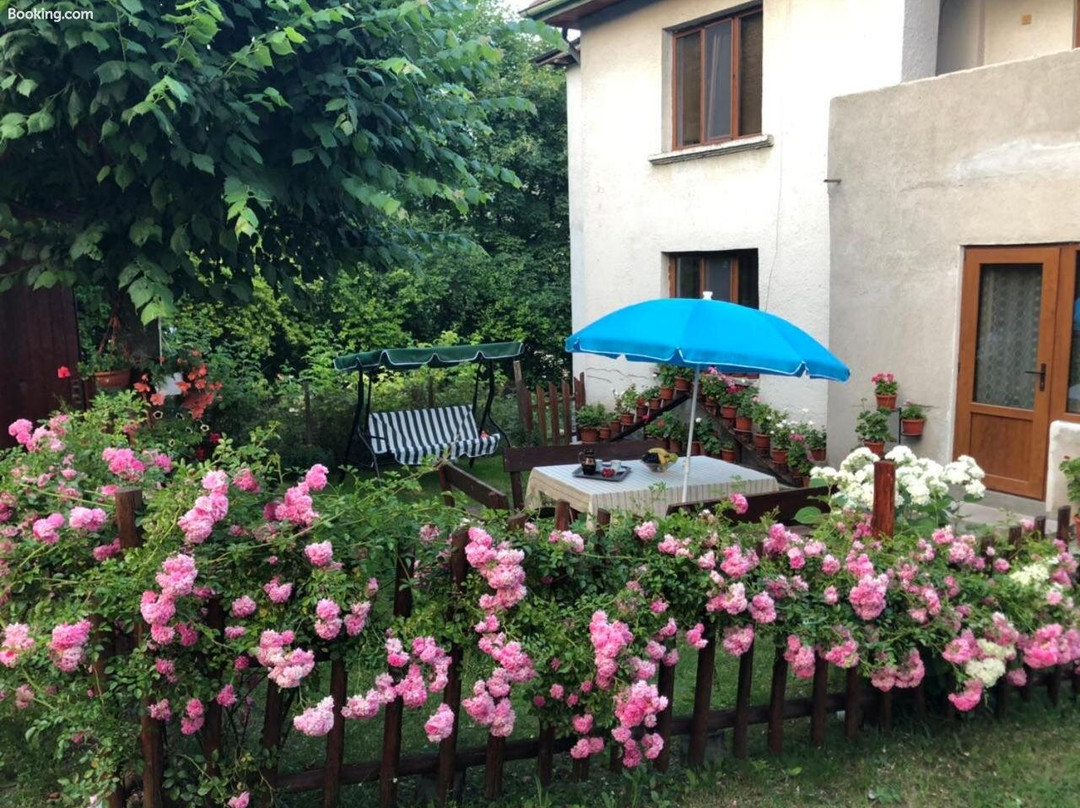 Guest house Emmy