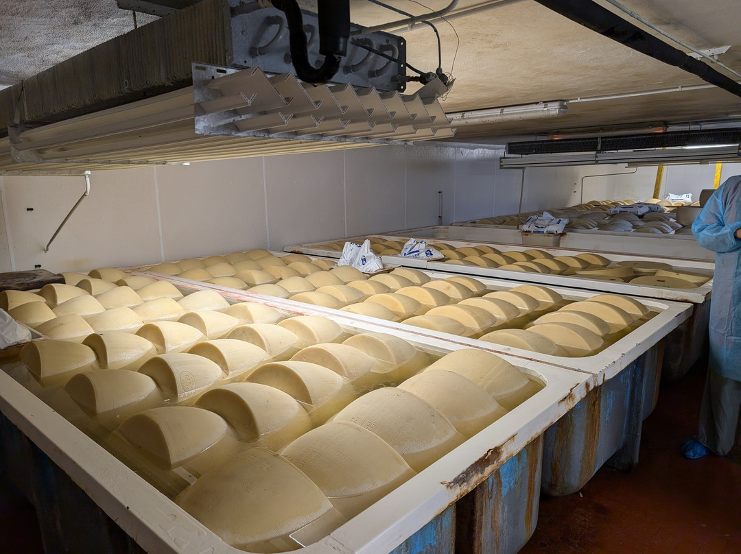 Parma Golosa Gourmet Tours-帕尔马必去景点