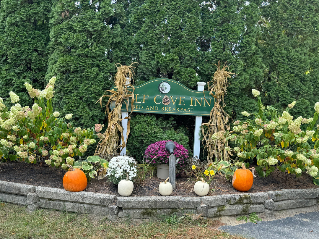 Wolf Cove Inn主图