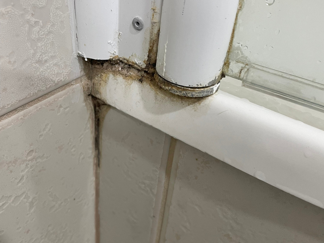 谢拉顿广场品质酒店主图