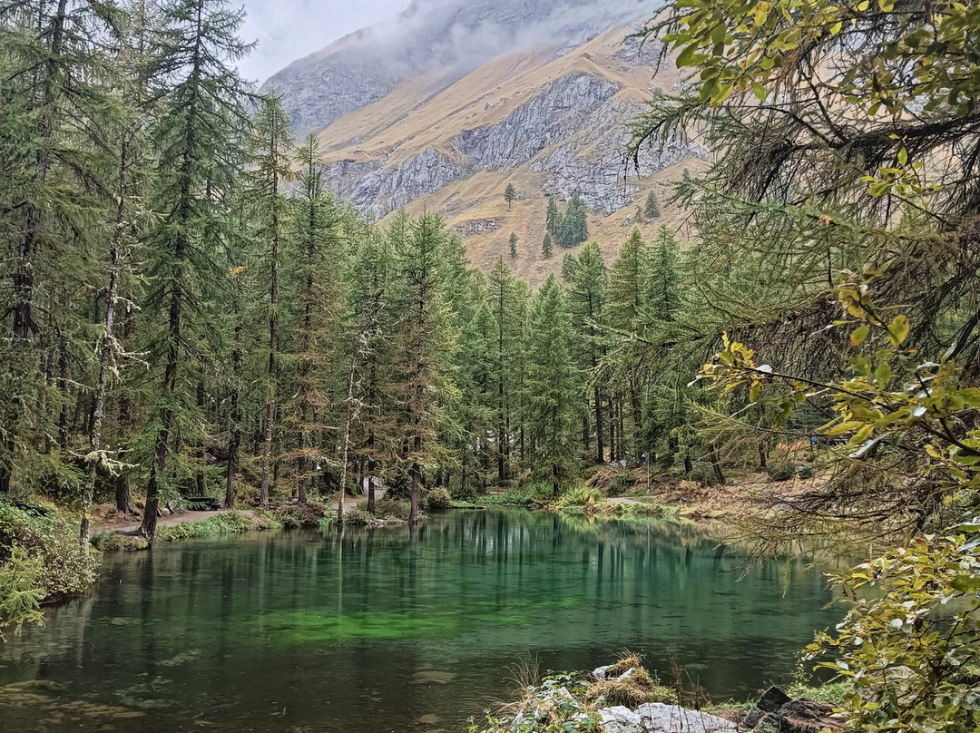 Lago Pellaud景点图片