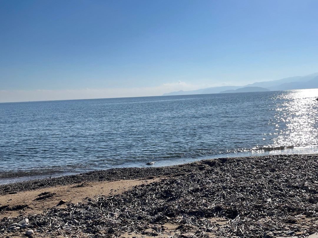 Havania Beach-Katsikia必去景点