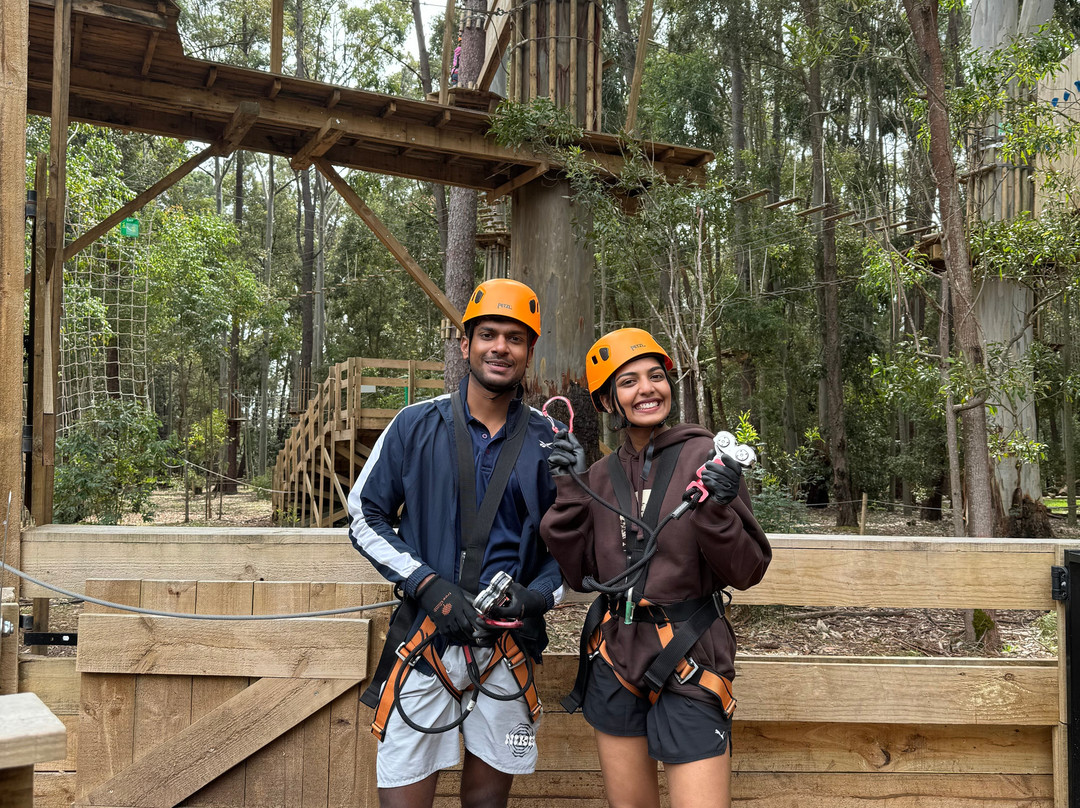 TreeClimb Kuitpo Forest-Kuitpo必去景点