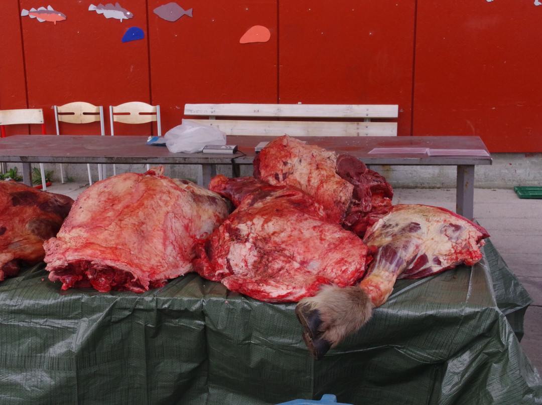 The Fish Market-Qaqortoq必去景点