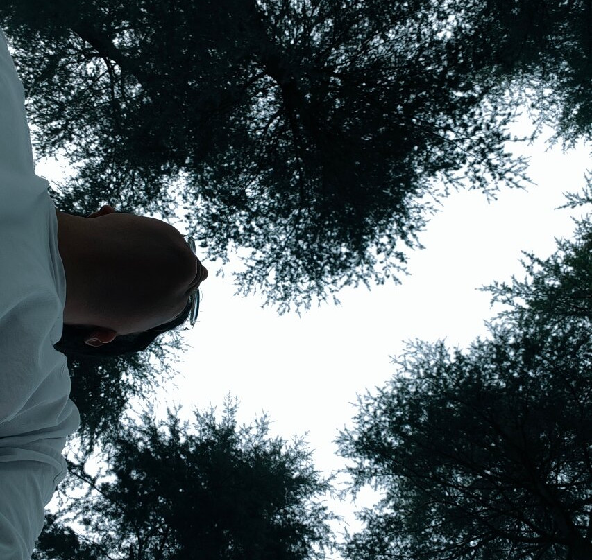 Hotel Forest View-PatniTop