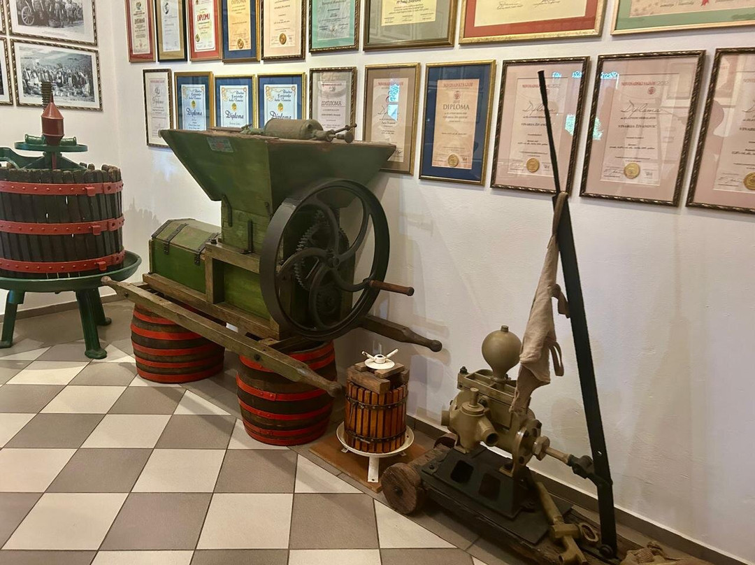 Museum of Beekeeping and Wine Cellar Zivanovic景点图片