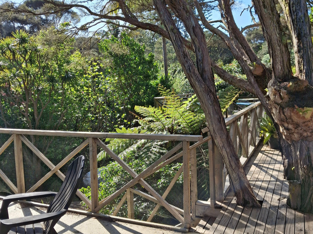 Waiheke Punga Lodge主图