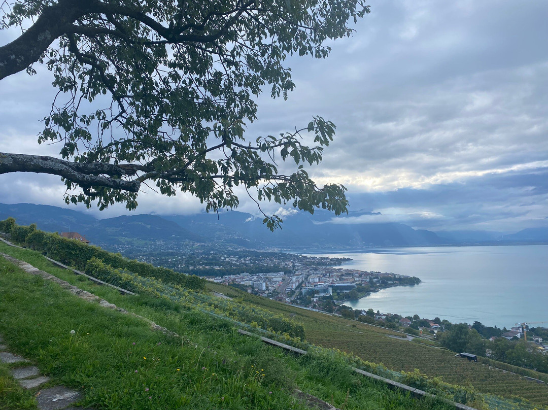 Maurice Neyroud-Chardonne必去景点