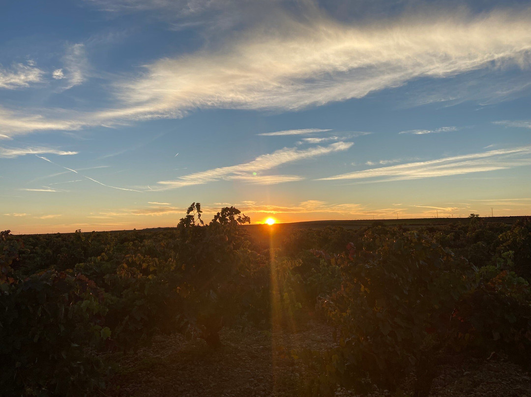 Pago de Trascasas主图