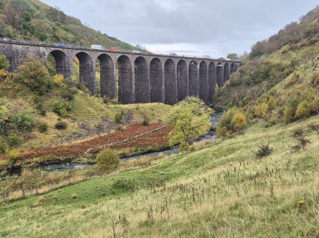 Smardale Gill Nature Reserve景点图片