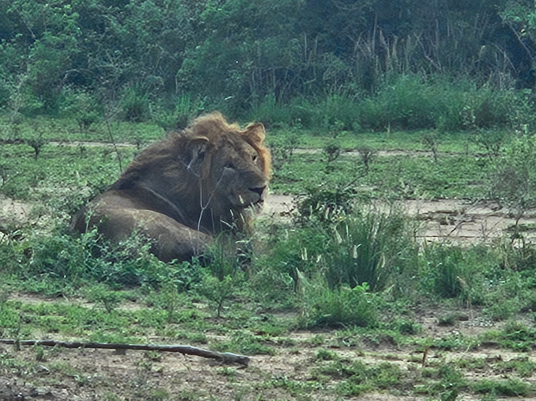 Kabaffulo Safaris-Katunguru必去景点