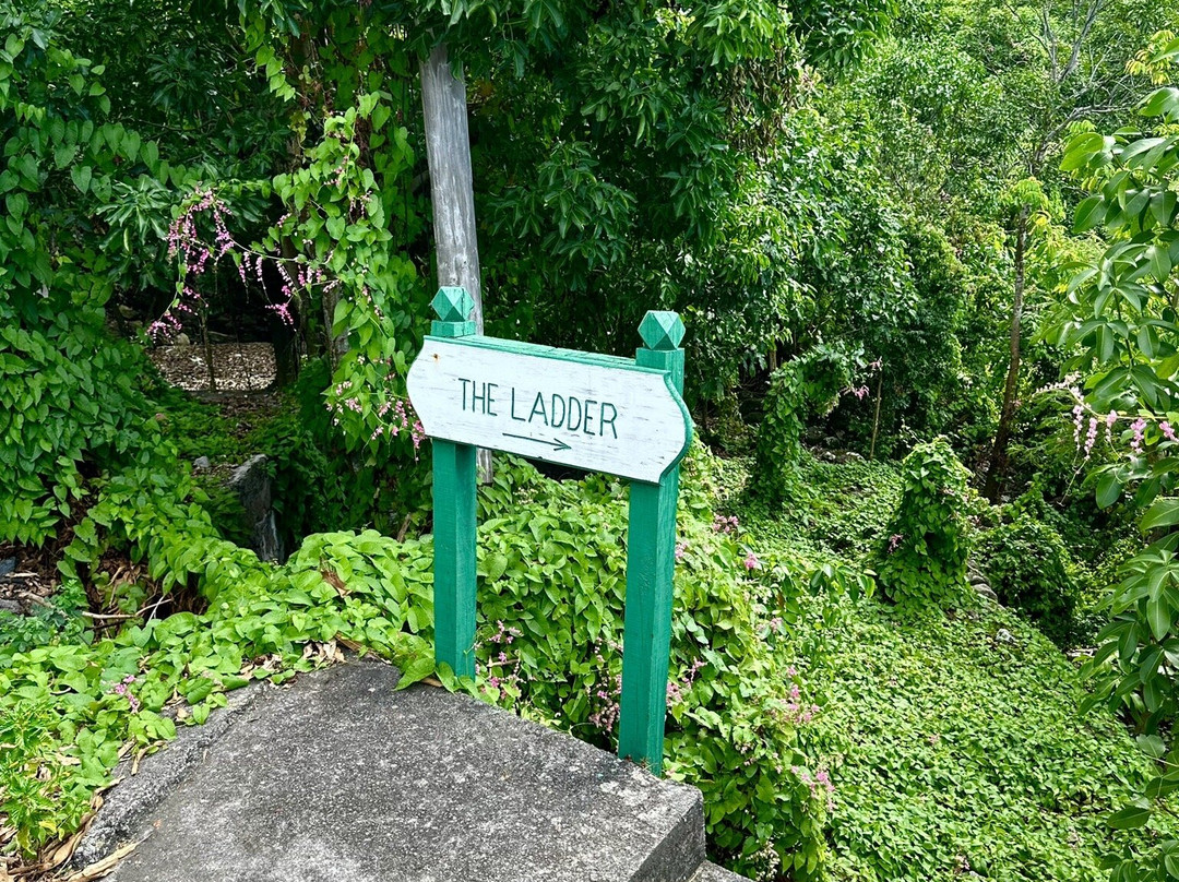 Ladder Bay-The Bottom必去景点