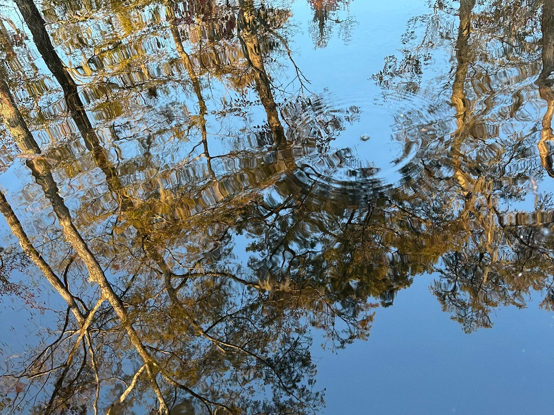 Jack's Surf Lessons and Board Rentals-美特尔海滩必去景点