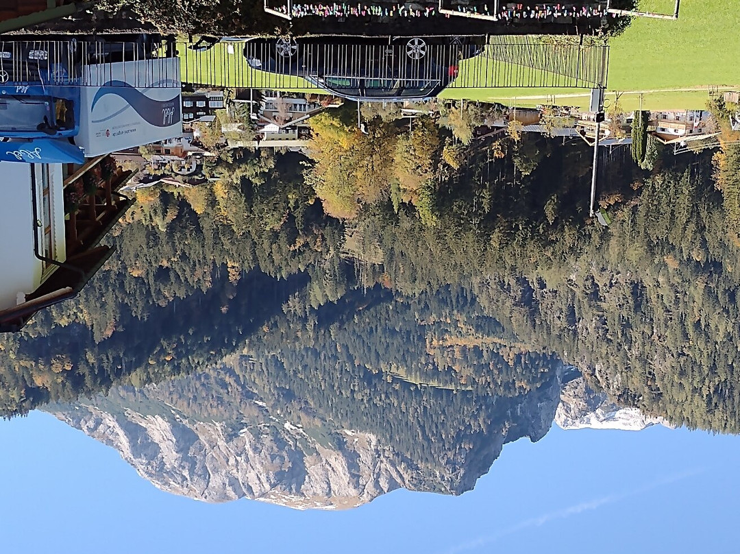 Cafe Pension Brandtnerhof主图