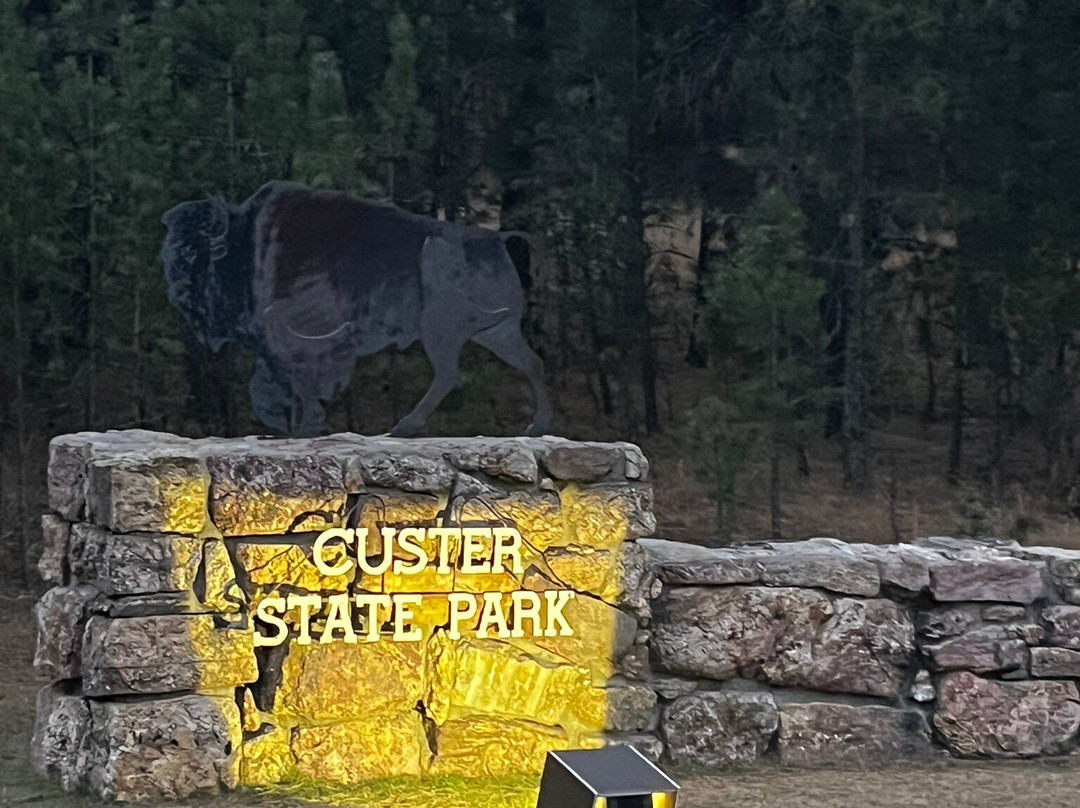 Holiday Inn Express & Suites Custer By IHG主图