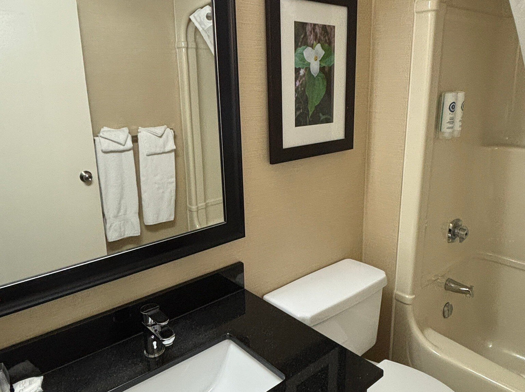 亨茨维尔康福特茵酒店主图