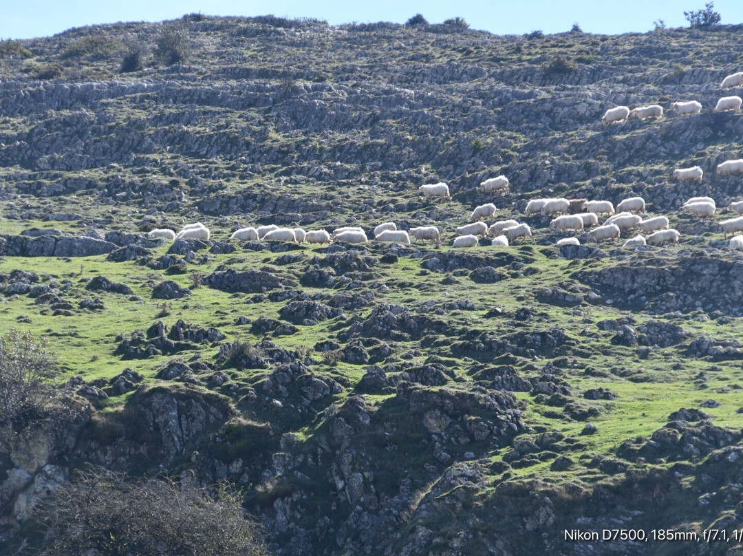 乌尔巴萨山脉自然公园-纳瓦拉必去景点