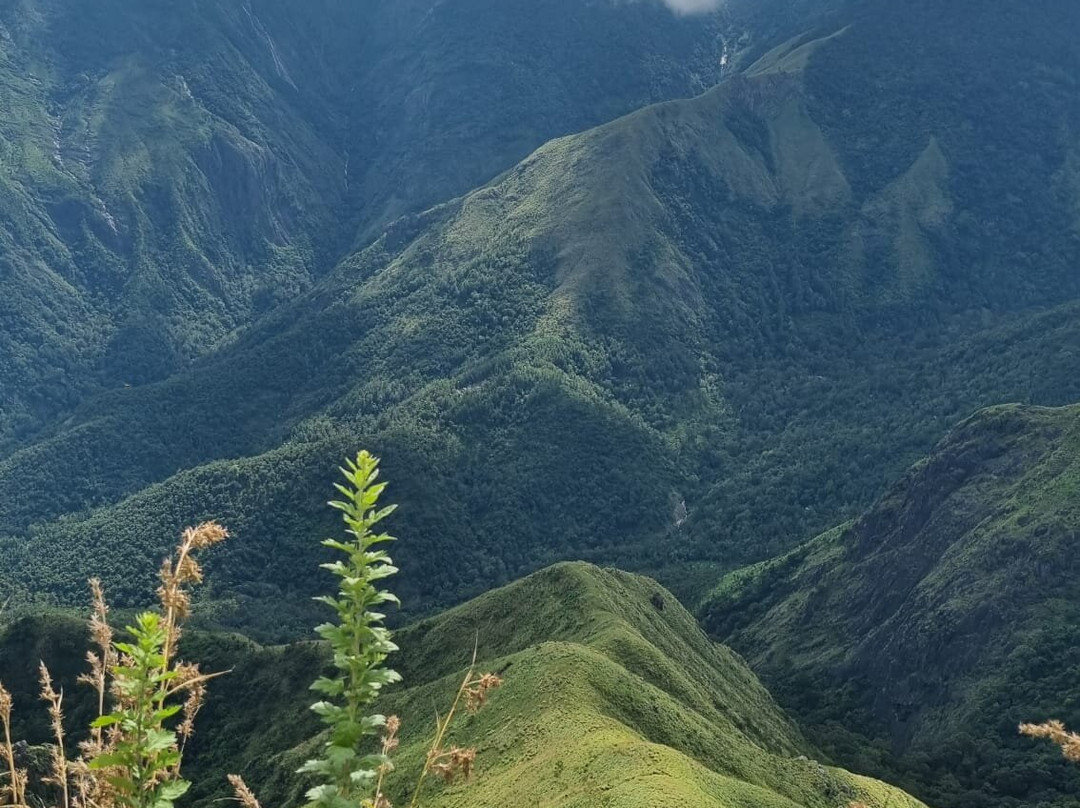 Wanders Munnar-慕那尔必去景点