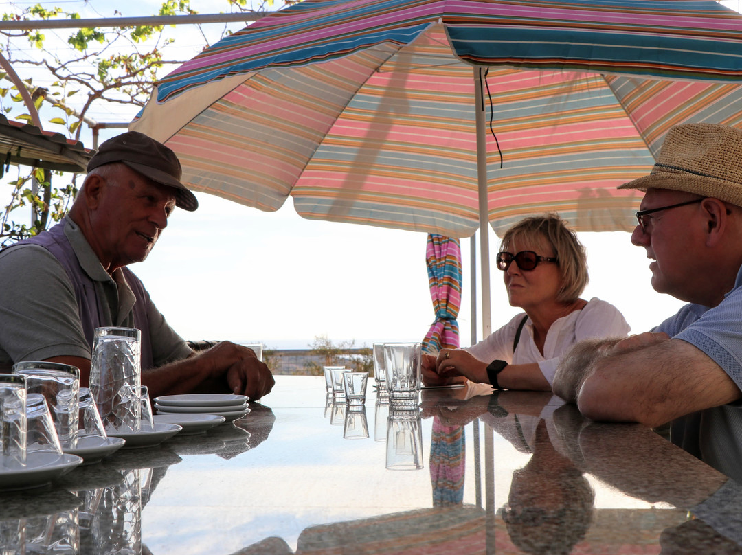 ADONIS Botanic Garden-Akoursos必去景点