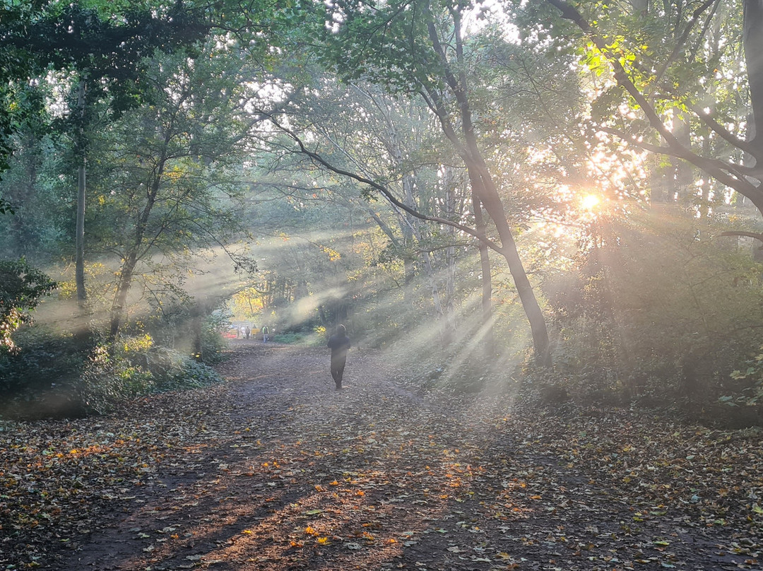 The Parkland Walk-Crouch End必去景点