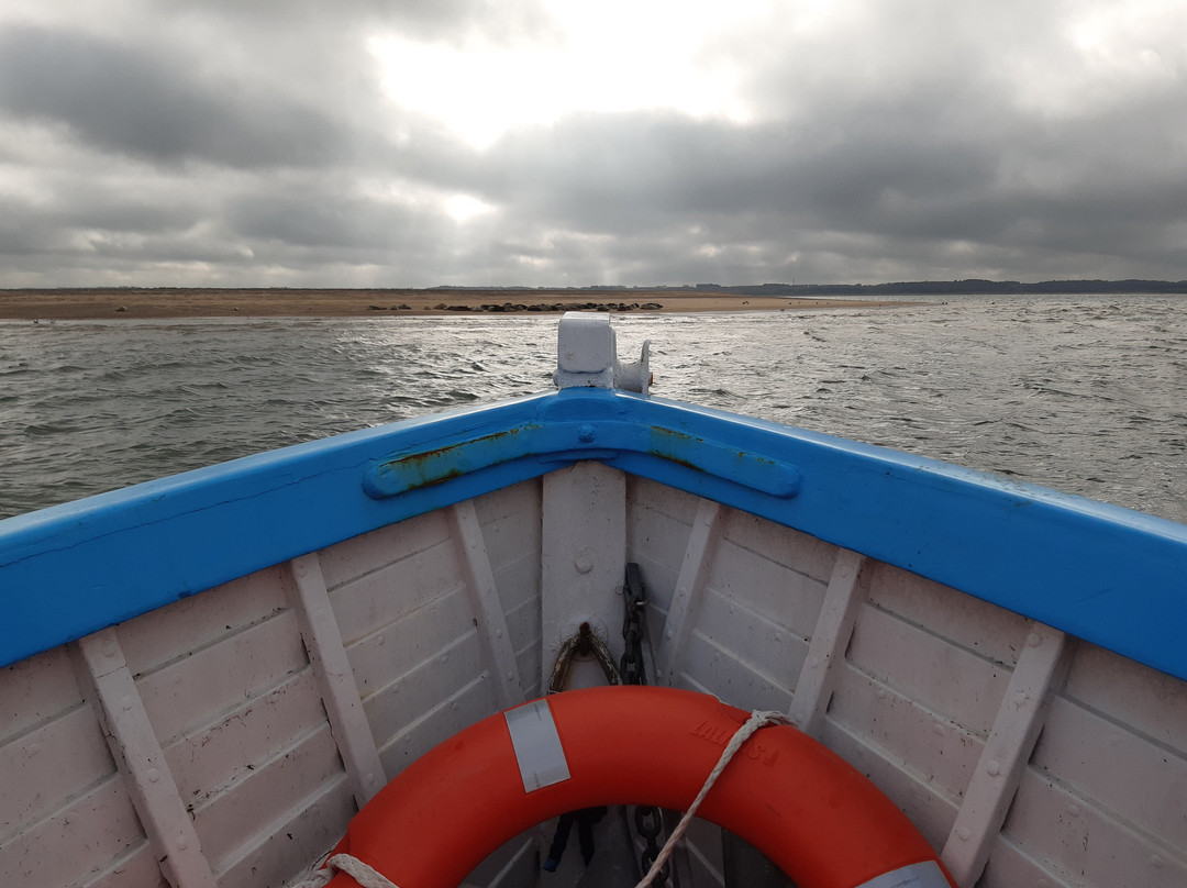 Ptarmigan Blakeney Point Seal Trips-布莱克尼必去景点