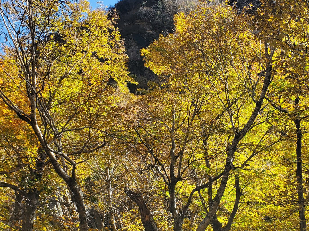 Grunberg Haus Inn & Cabins主图