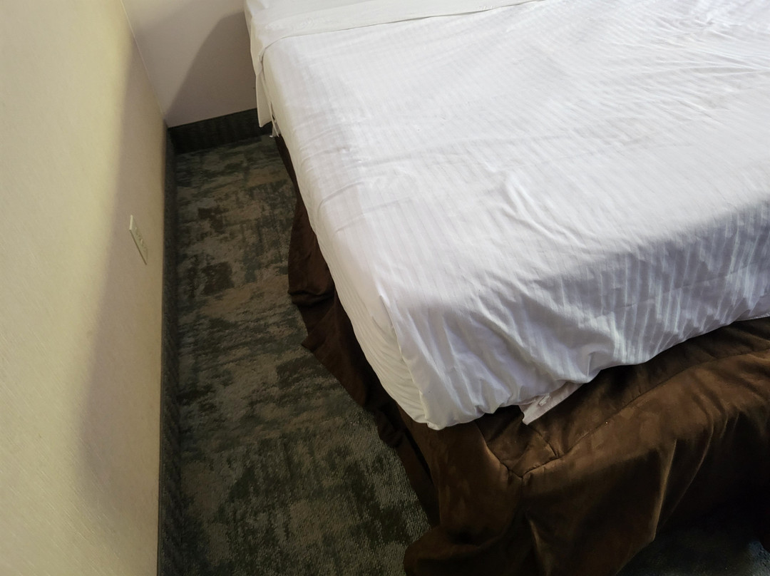 桑德湾Travelodge by Wyndham(Travelodge Thunder Bay ON)主图